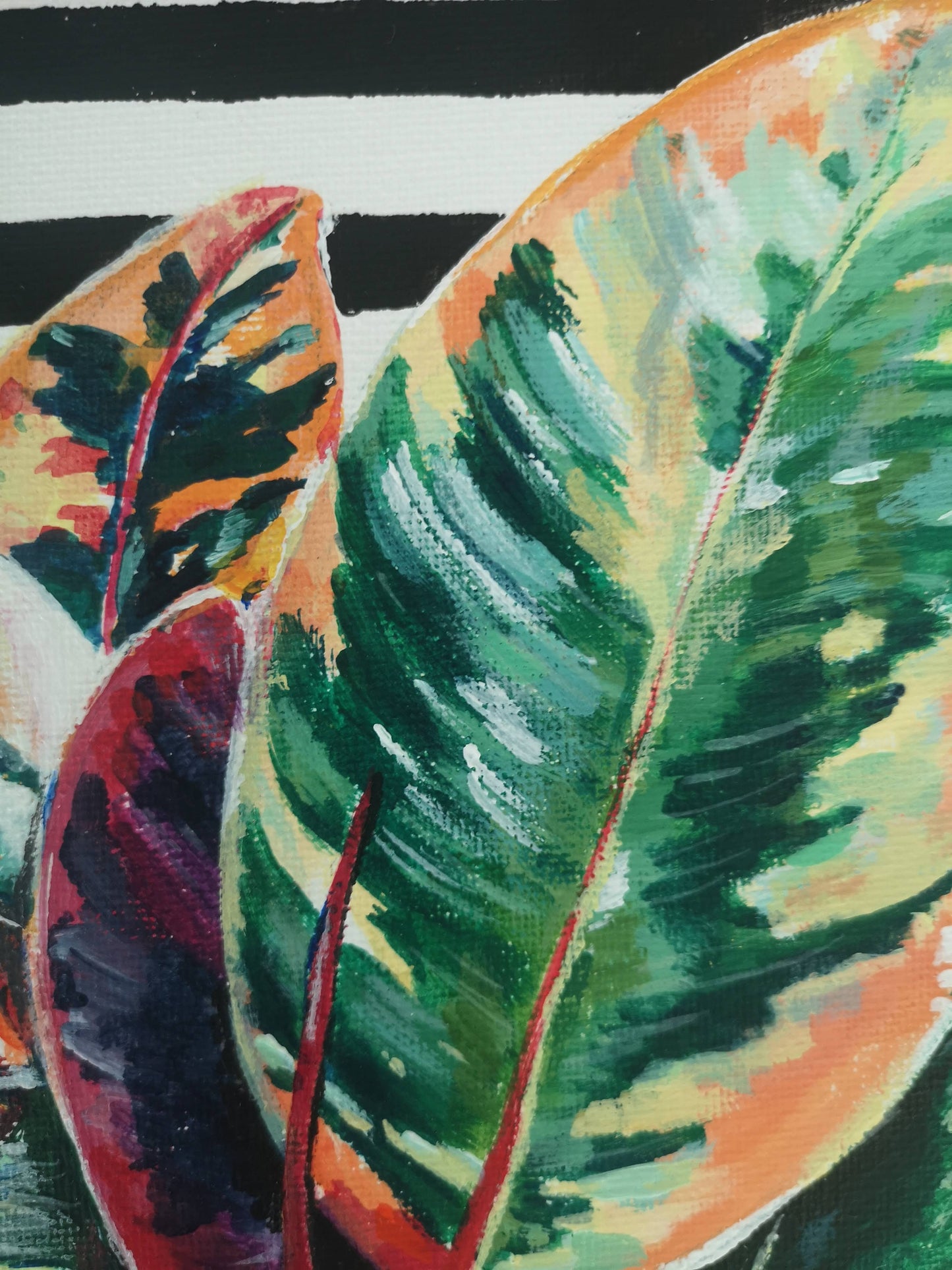 Plant painting of rubber fig. Close up of the leaves and stripy background details. Artwork by Judy Century.