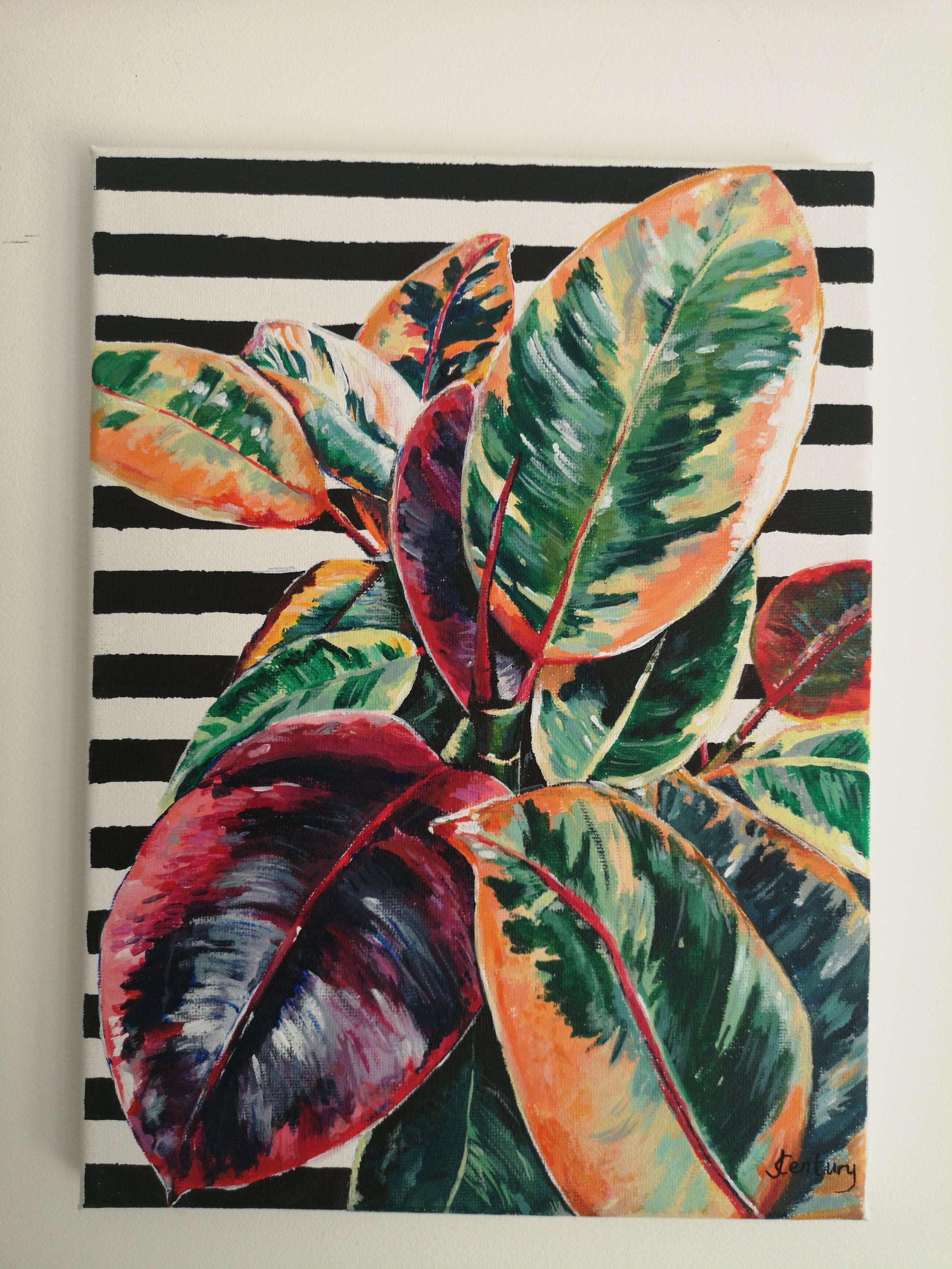 Original Plant painting Rubber Fig realistic acrylic painting on black and white striped pattern background A4 size with white frame hanging on white wall. Artwork by Judy Century.