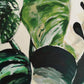 Detailed close up of Monstera plant cheese plant painting by Judy Century showing green patterned leaves
