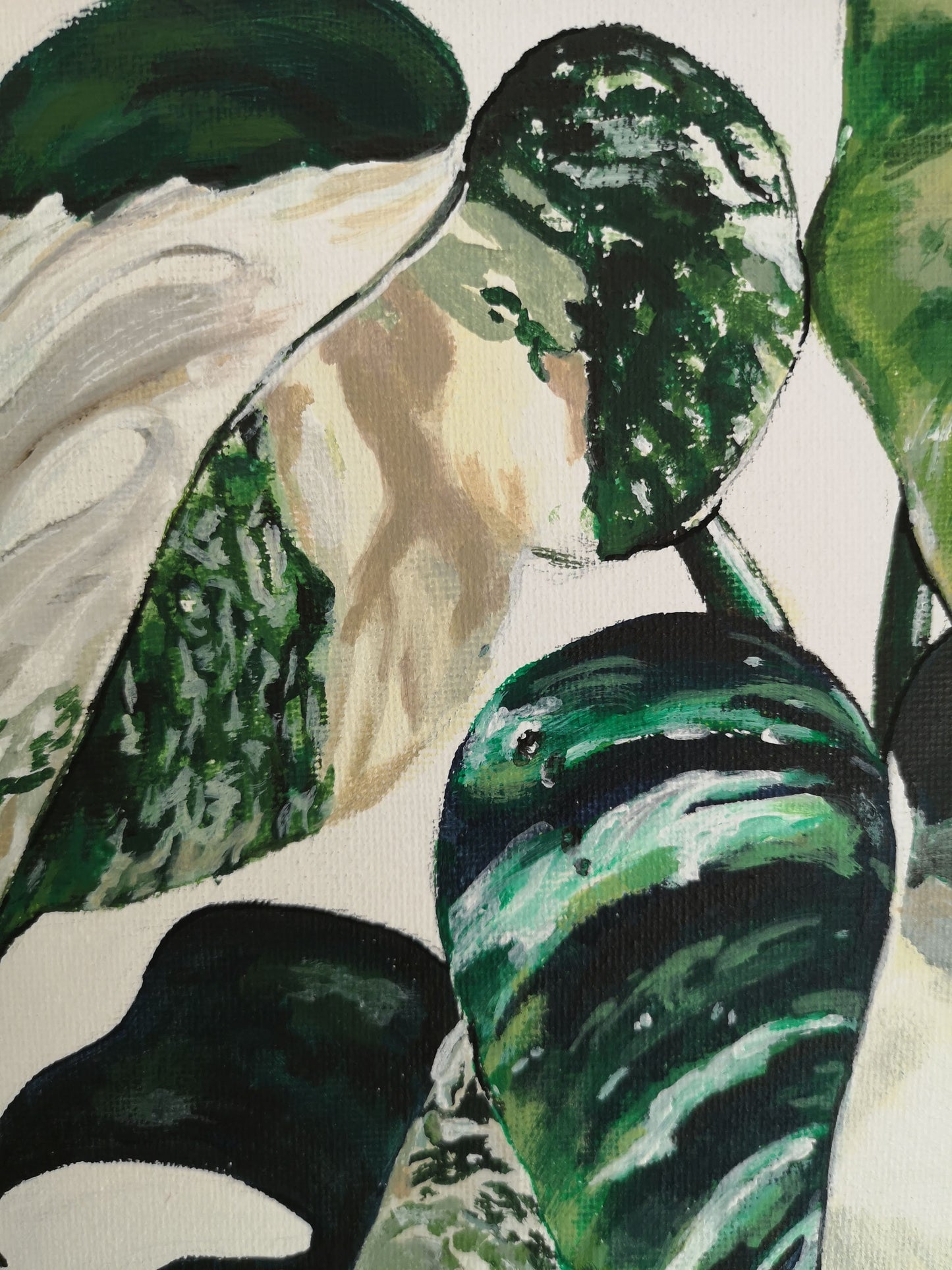 Close up on Cheese plant leaf from Variegated Monstera Plant on stripes painting by Judy Century Art